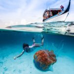 Maldivler Dalış ve Şnorkel