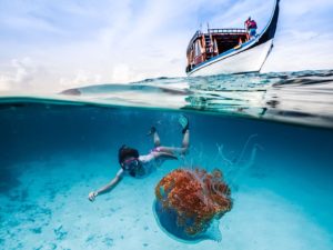 Maldivler Dalış ve Şnorkel