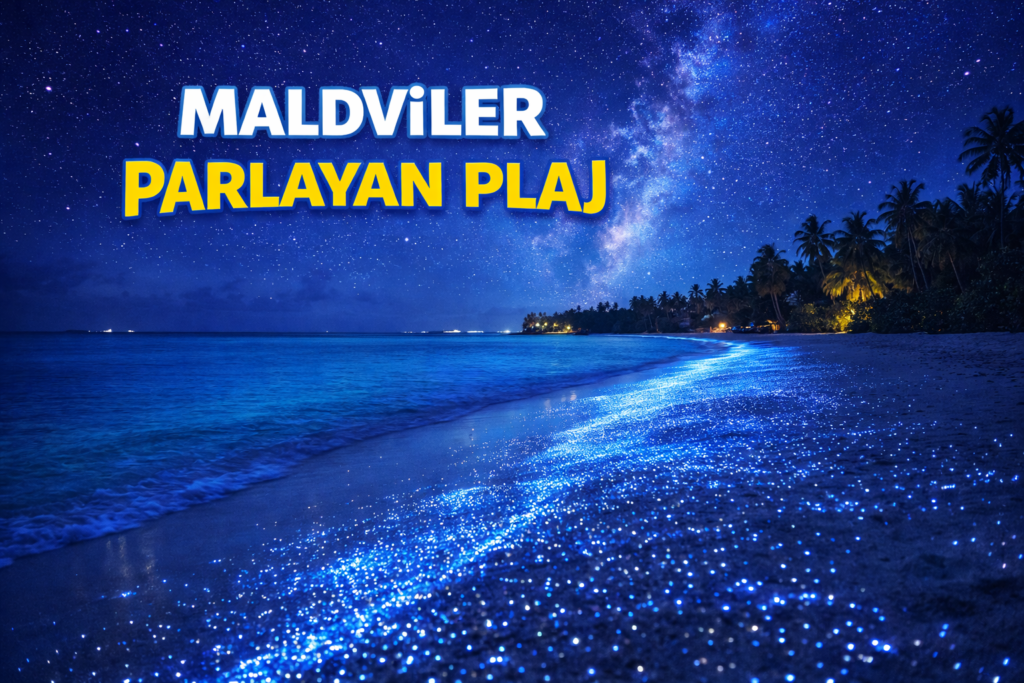 Maldivler Hakkında Bilmeniz Gereken 10 İlginç Bilgi